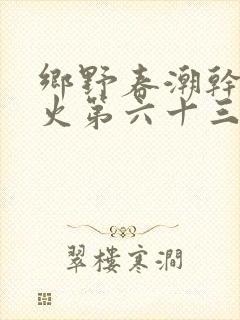 乡野春潮干柴烈火第六十三章