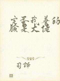 完蛋我养的小白脸是大佬