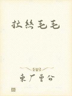 拉丝毛毛