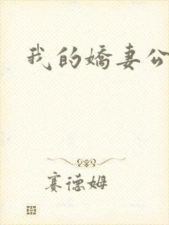 我的娇妻公务员