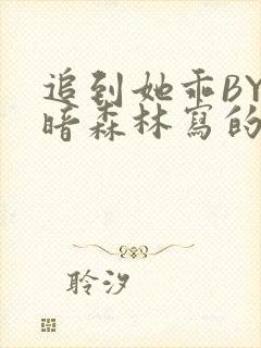 追到她乖BY黑暗森林写的小说