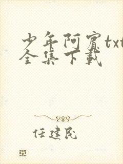 少年阿宾txt全集下载
