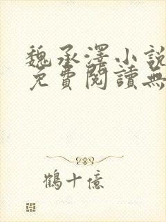 魏承泽小说全文免费阅读无弹窗笔趣