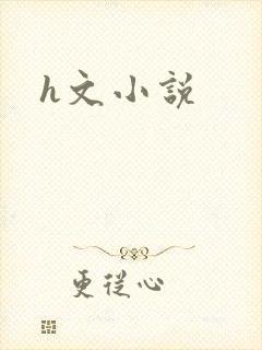 h文小说