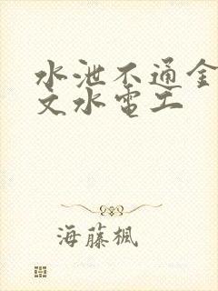 水泄不通金银原文水电工