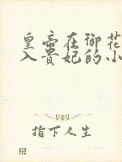 皇帝在御花园进入贵妃的小说