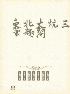 东北大炕三部曲笔趣阁