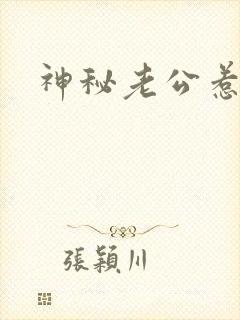 神秘老公惹不起