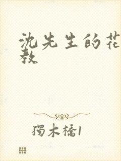 沈先生的花式管教