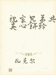 祝家兄弟共享后夹心饼干