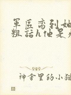 军区脔到她哭h粗话h他是疯批