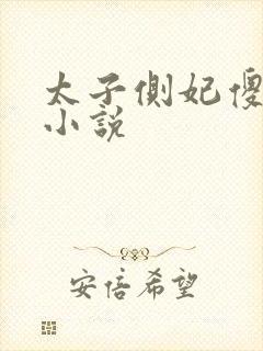 太子侧妃傻乎乎小说