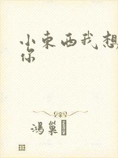 小东西我想弄坏你