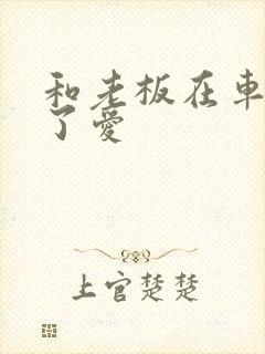 和老板在车里做了爱