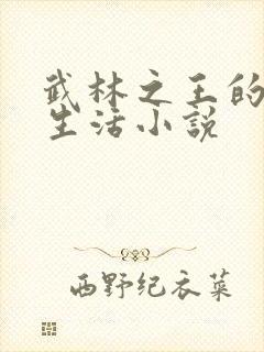 武林之王的退隐生活小说