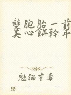 双胞胎一前一后夹心饼干年下