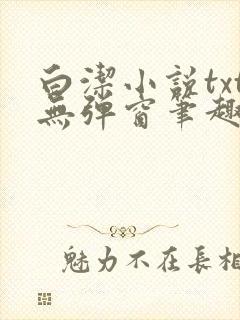 白洁小说txt无弹窗笔趣阁