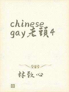 chinesegay老头4