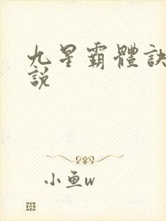 九星霸体诀 小说