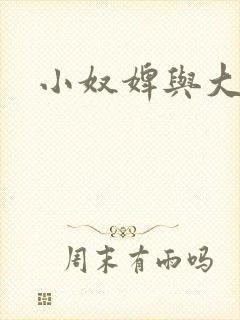 小奴婢与大少爷