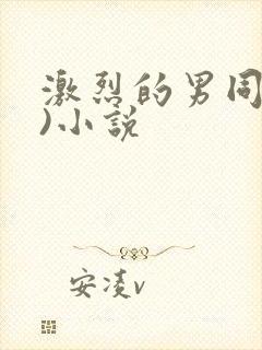 激烈的男同(h)小说