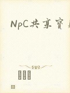 NpC共享宝贝