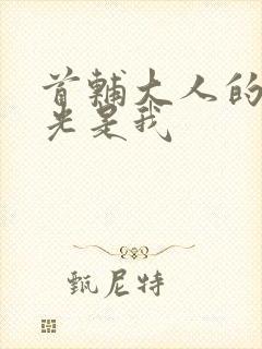 首辅大人的白月光是我