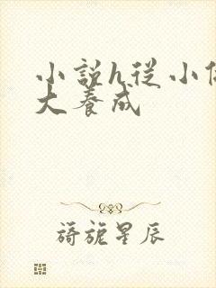 小说h从小做到大养成