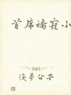 首席娇宠小情人