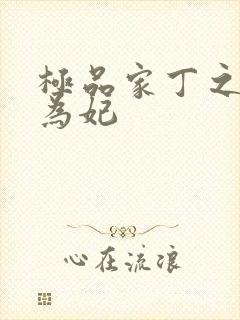 极品家丁之册母为妃