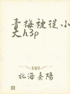 青梅被从小摸到大h3p