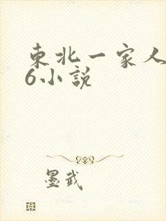 东北一家人1一6小说