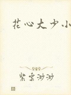 花心大少小说
