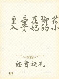 皇帝在御花园进入贵妃的小说