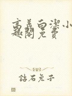 高义白洁小说笔趣阁免费