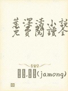 叶泽涛小说全文免费阅读全文