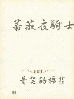蔷薇夜骑士