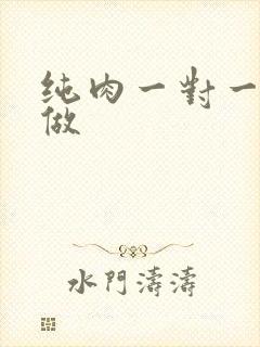 纯肉一对一到处做