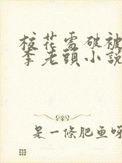 校花处破被灌满李老头小说