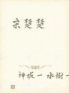 宋楚楚