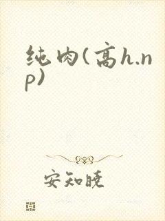 纯肉(高h.np)