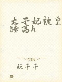 太子妃被皇上强睡高h