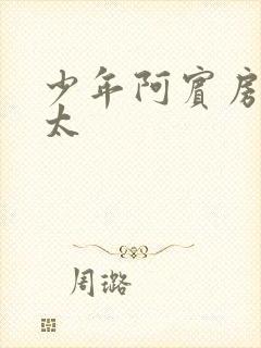 少年阿宾房东太太