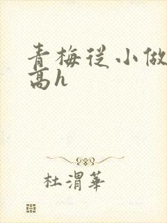 青梅从小做到大高h