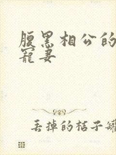 腹黑相公的庶女宠妻