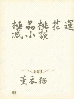 极品桃花运未删减小说