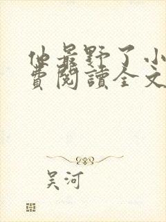 他最野了小说免费阅读全文