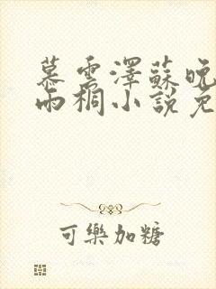 慕云泽苏晚晴夏雨桐小说免费阅读