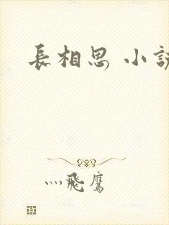 长相思 小说