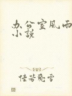 办公室风雨完整小说